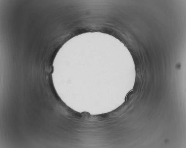 X0000116820235201001081423