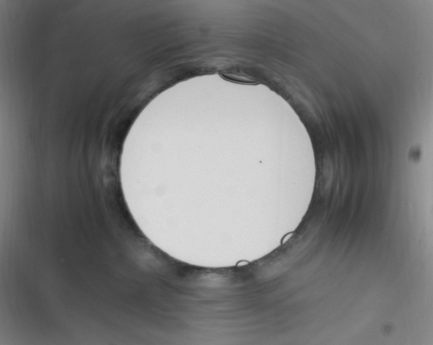 X0000116820236201001081423