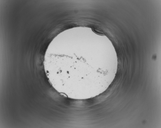 X0000116820237201001081423