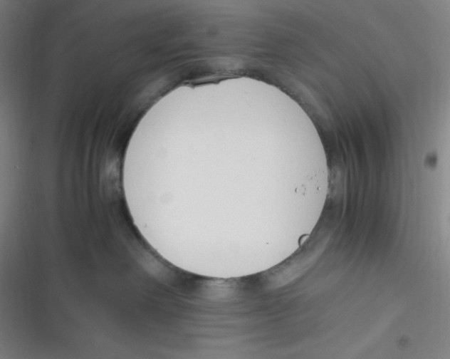 X0000116820238201001081423