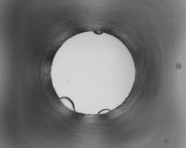 X0000116820240201001081423