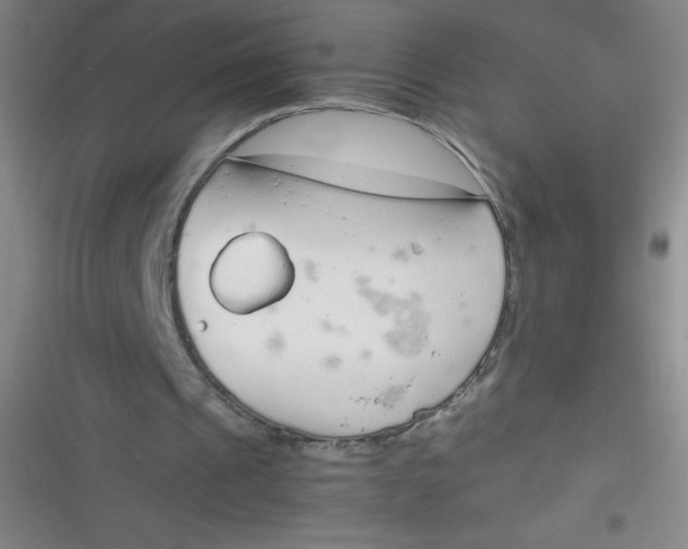 X0000116820241201001081422