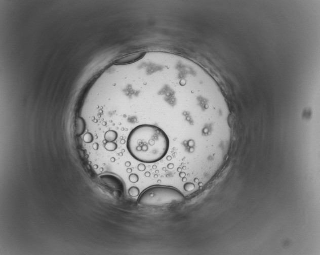 X0000116820245201001081423