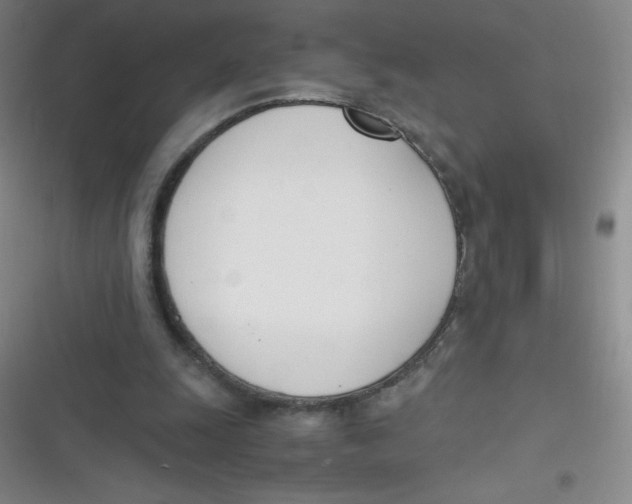 X0000116820247201001081423