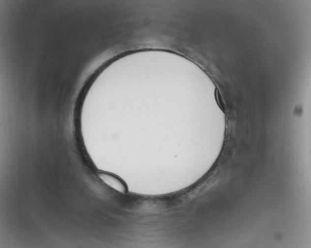 X0000116820248201001081423