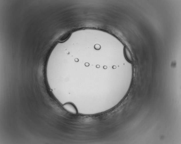 X0000116820249201001081423