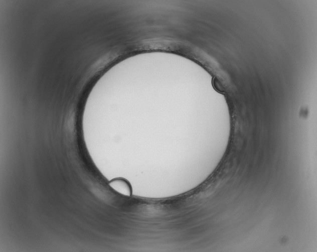 X0000116820250201001081423