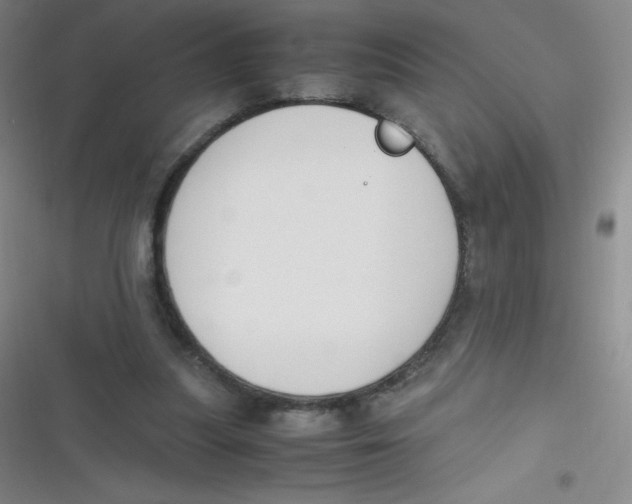 X0000116820251201001081423