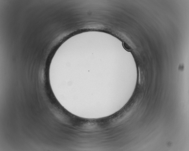 X0000116820252201001081423