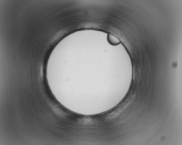 X0000116820253201001081423