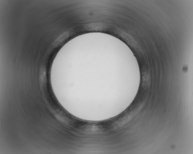 X0000116820254201001081423