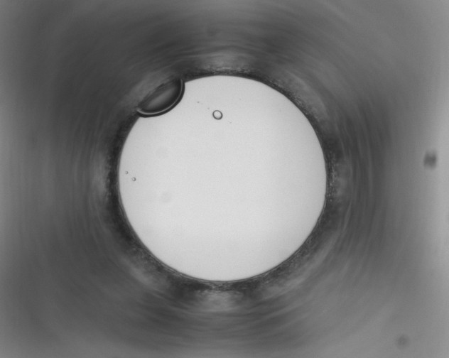 X0000116820255201001081423