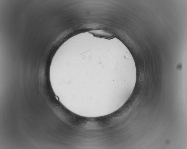 X0000116820256201001081423