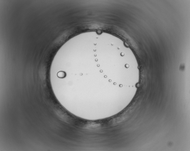 X0000116820257201001081423