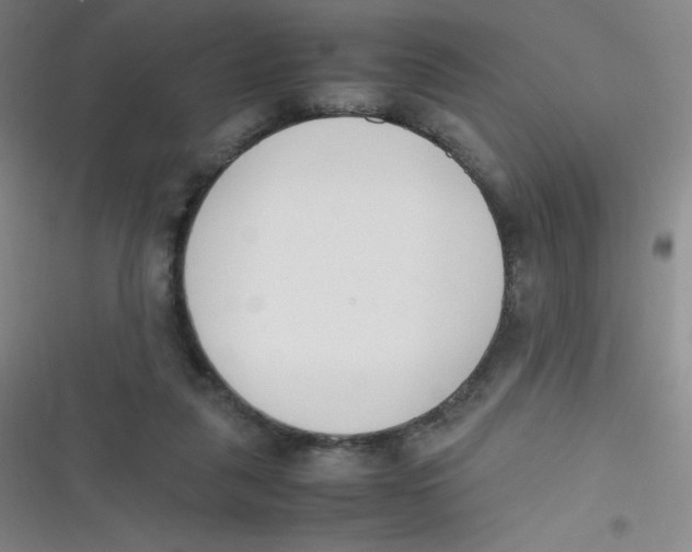 X0000116820259201001081423