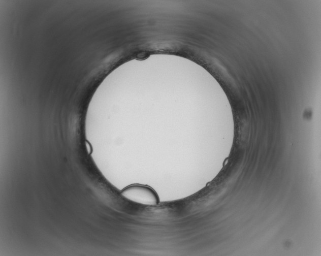 X0000116820260201001081423