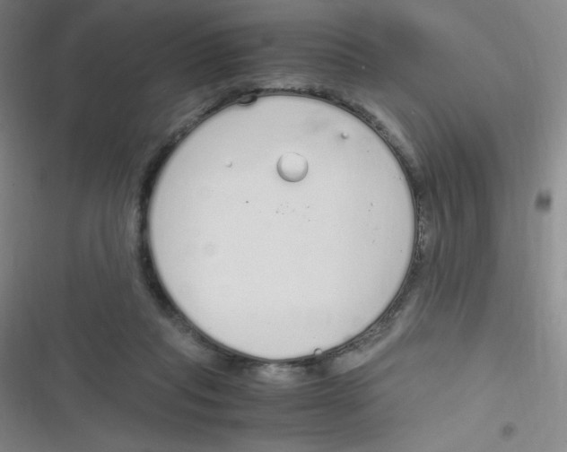 X0000116820261201001081423