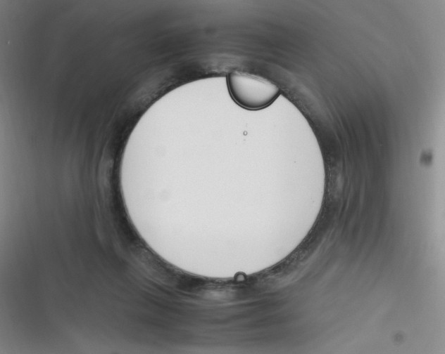 X0000116820263201001081423