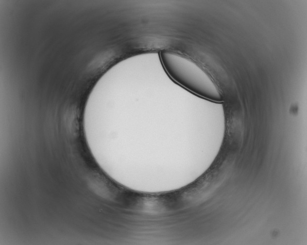 X0000116820264201001081423