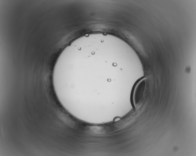 X0000116820265201001081423