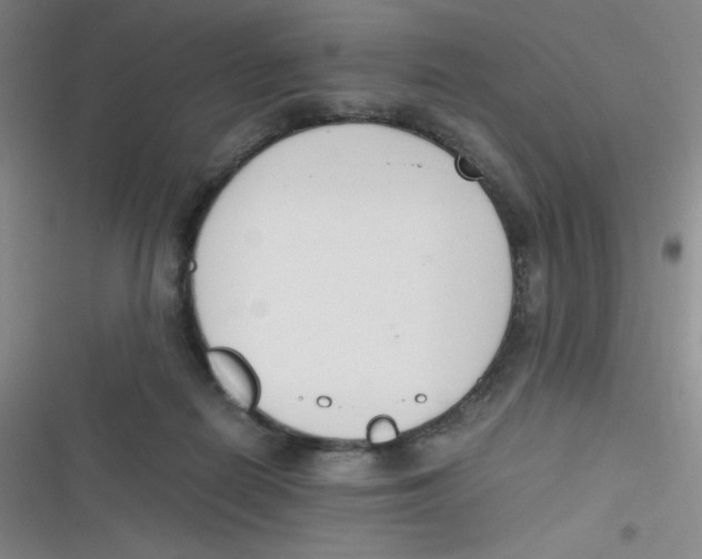 X0000116820266201001081423