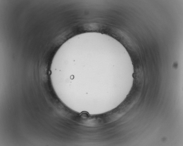 X0000116820267201001081423