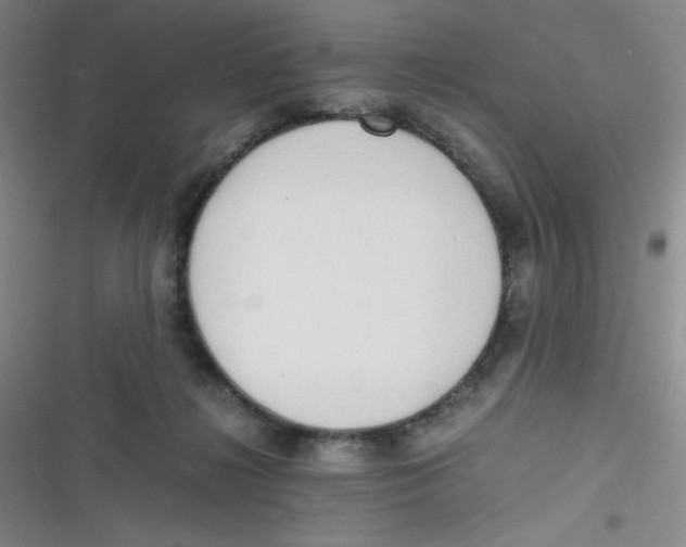 X0000116820268201001081423