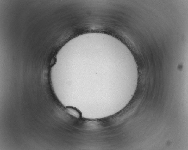 X0000116820269201001081423