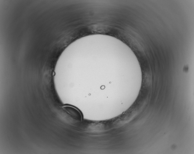 X0000116820271201001081423