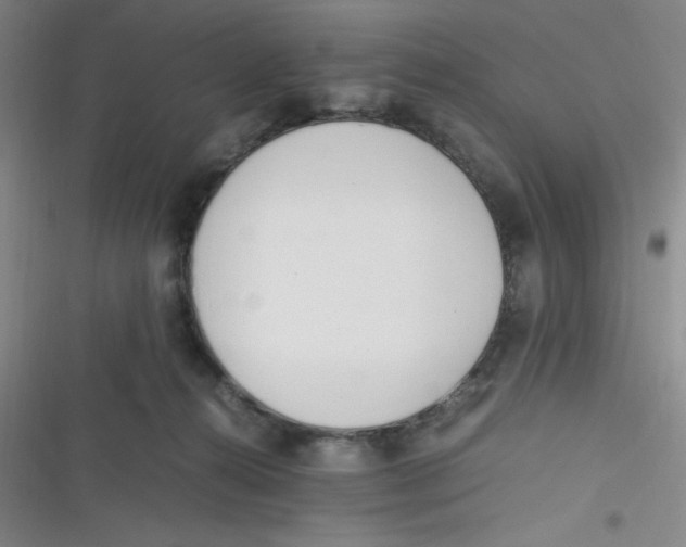 X0000116820272201001081423