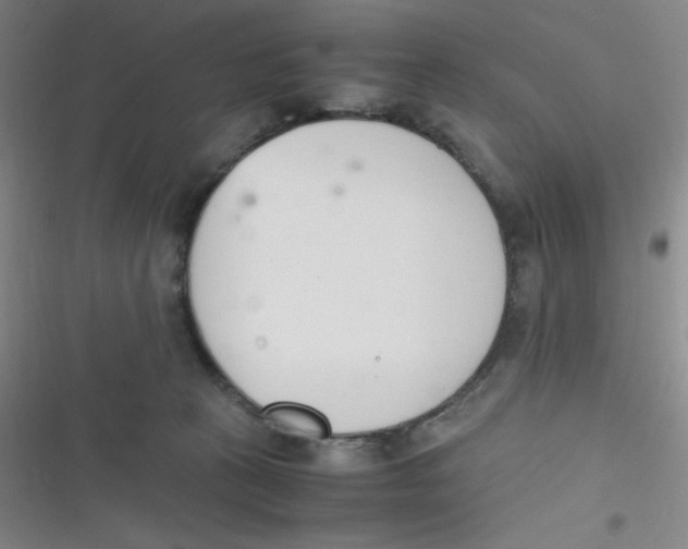 X0000116820273201001081423