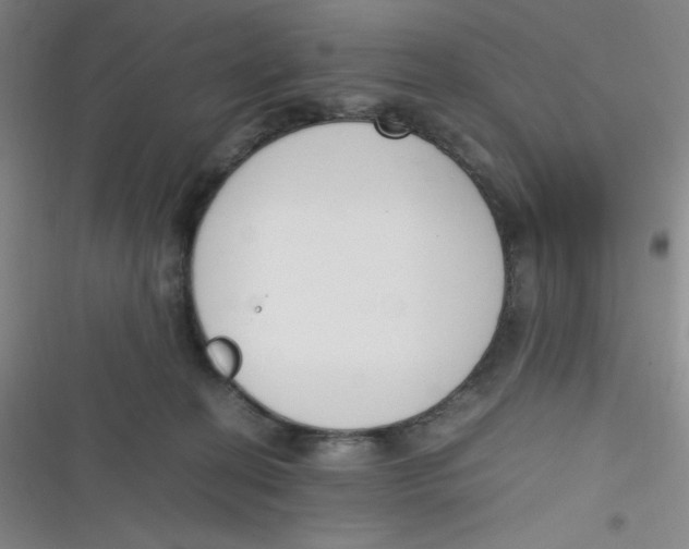 X0000116820274201001081423