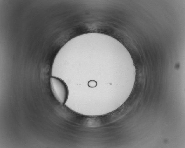 X0000116820275201001081423