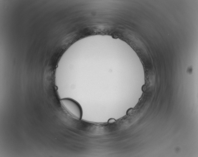 X0000116820276201001081423