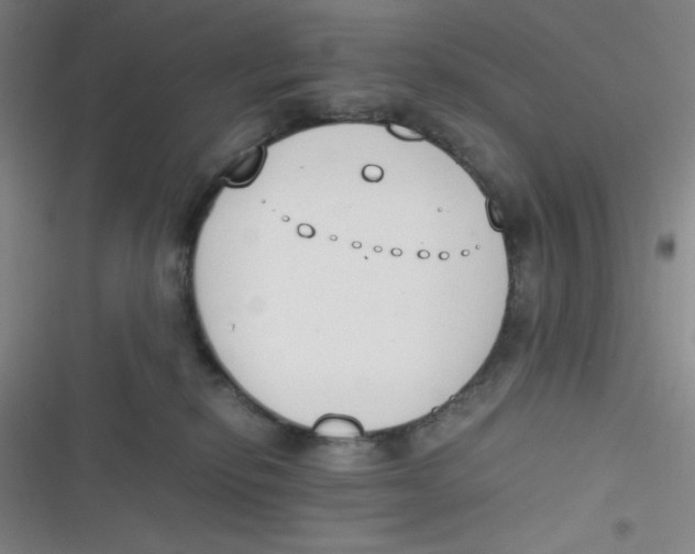 X0000116820278201001081423