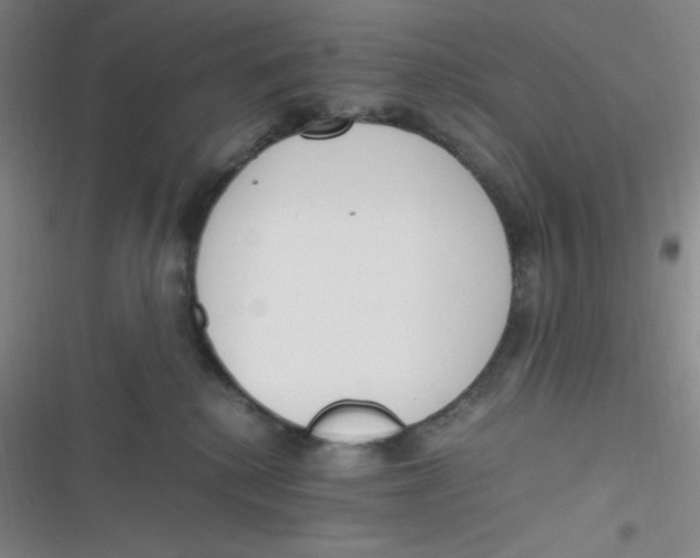 X0000116820280201001081423