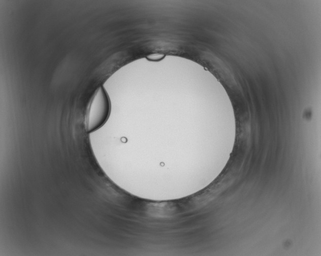 X0000116820281201001081423