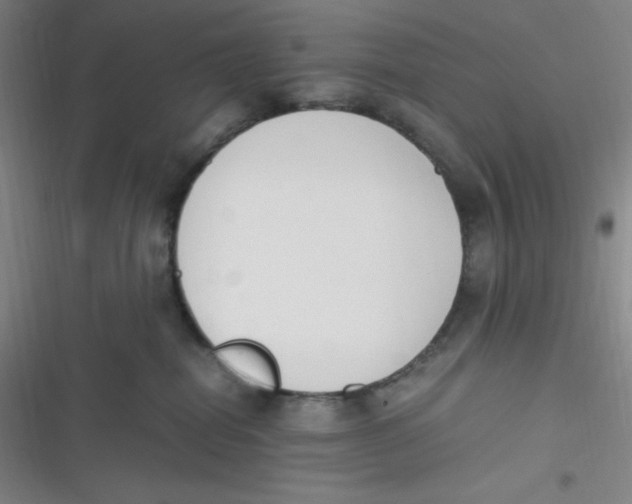 X0000116820282201001081423