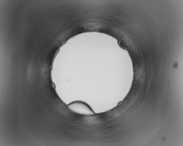 X0000116820283201001081423