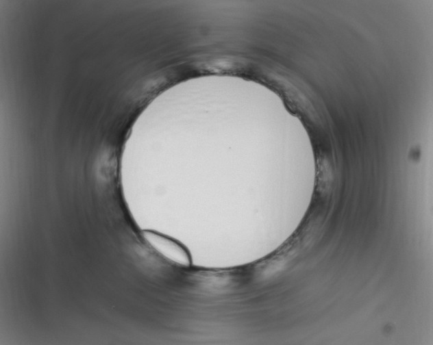 X0000116820284201001081423