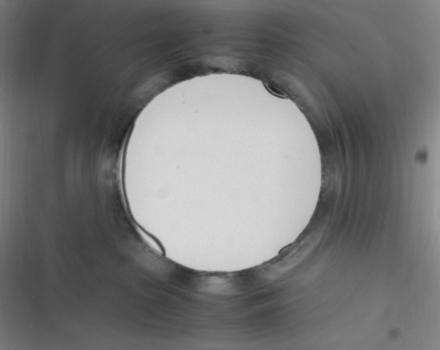 X0000116820285201001081423