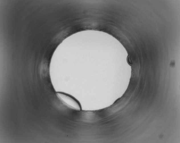 X0000116820287201001081423