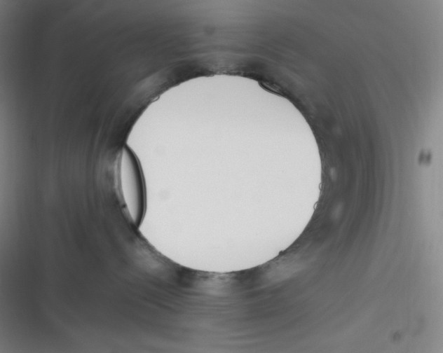 X0000116820288201001081423