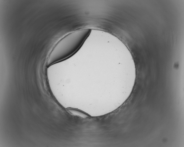 X0000116820289201001081422