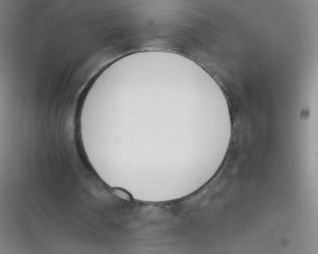 X0000116820290201001081422