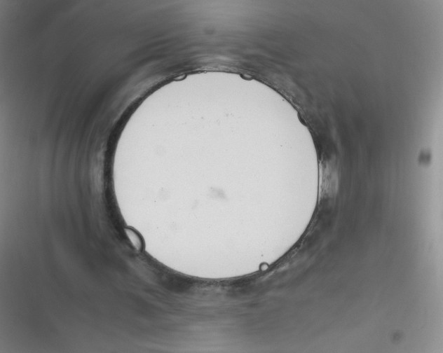 X0000116820291201001081422