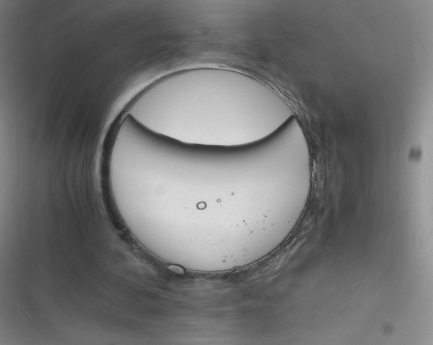 X0000116820292201001081422