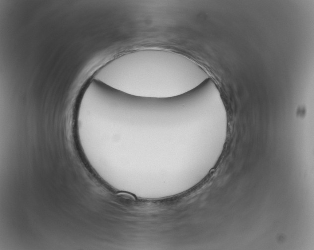 X0000116820293201001081422