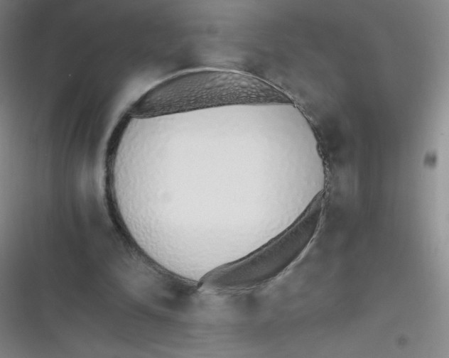 X0000116820294201001081422