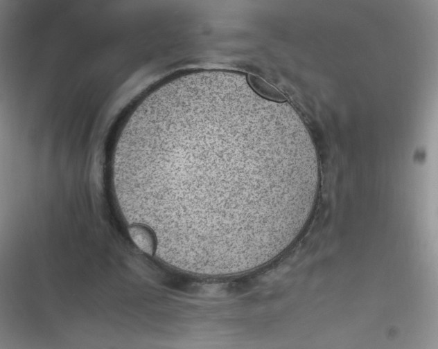 X0000116820295201001081422